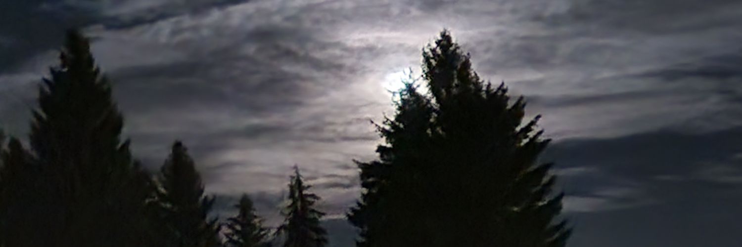 teseractime's profile banner image