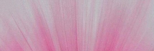 redsprink's profile banner image