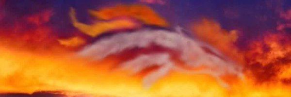 Dspond13 Profile Banner