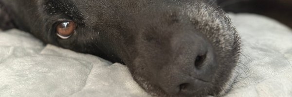 TimLyons Profile Banner