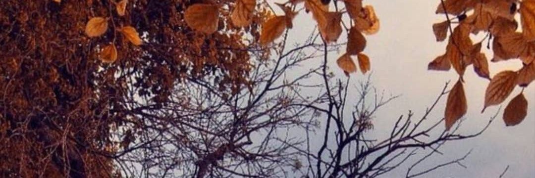 aphie3's profile banner image