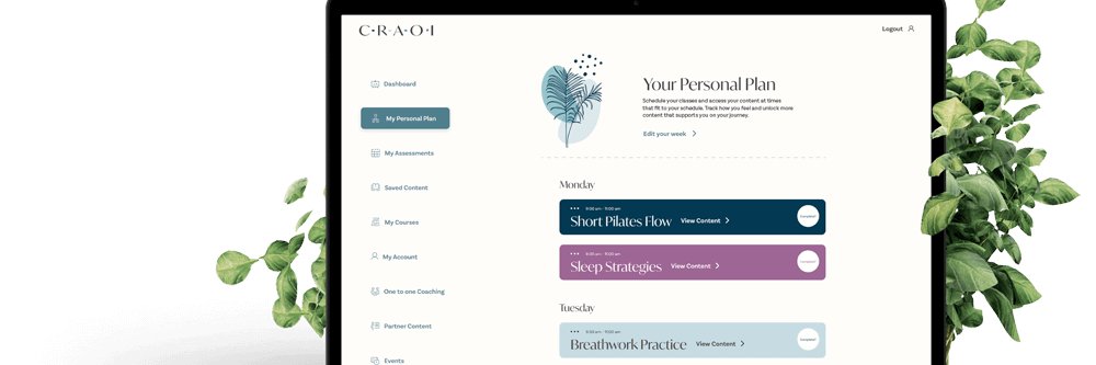 Craoi banner