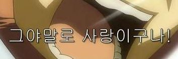도 banner