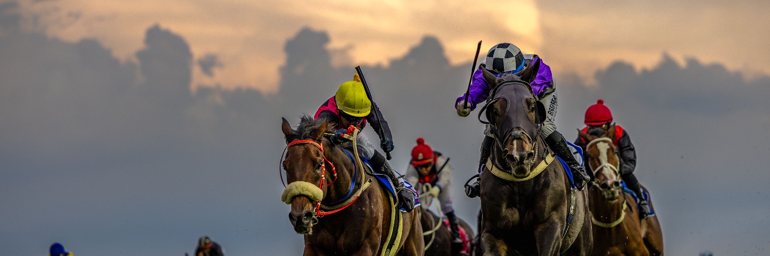 Candiese Lenferna banner