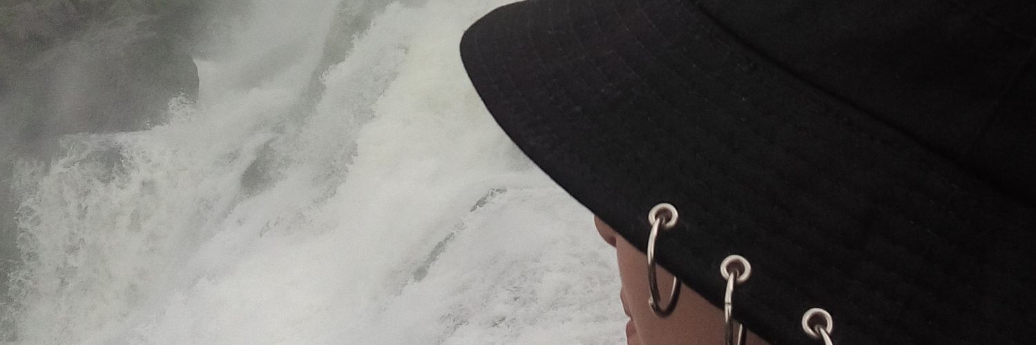flaybrass's profile banner image