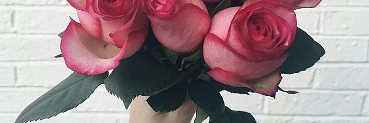 ZeilaMo's profile banner image