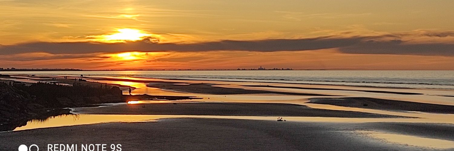elchich☀️ banner