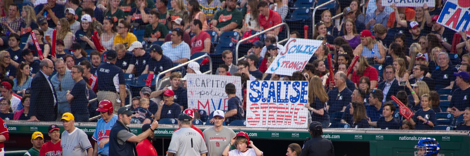 Anthony Scalise's banner