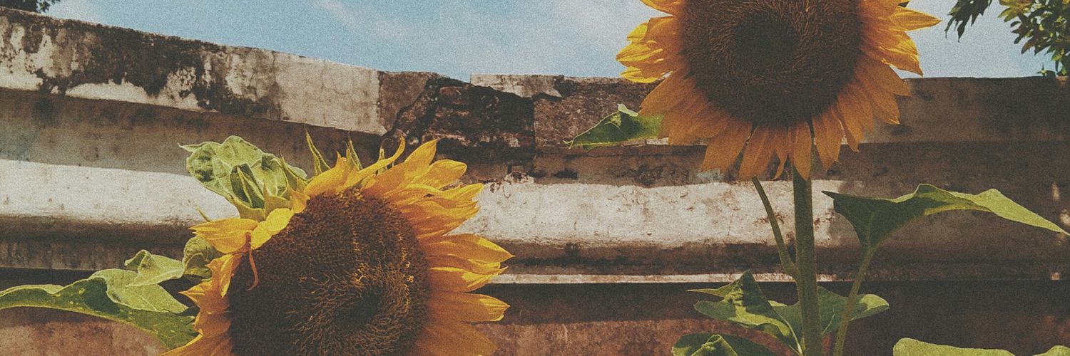 nelyad_'s profile banner image