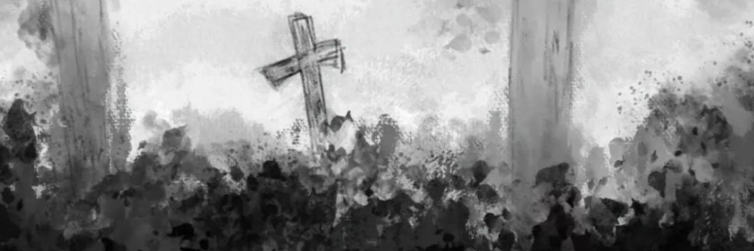 o55115507's profile banner image