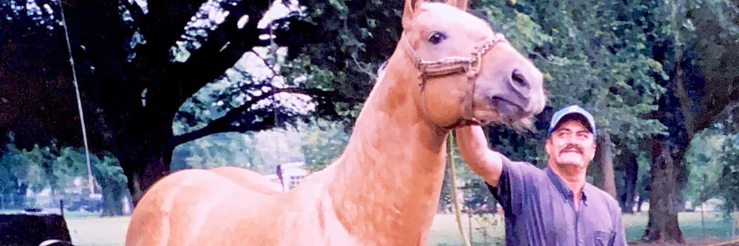 MarcoGo18's profile banner image