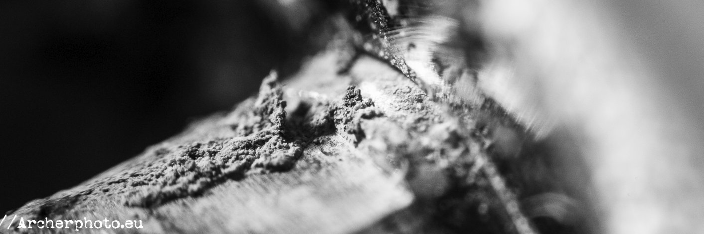 Archerphoto's profile banner image