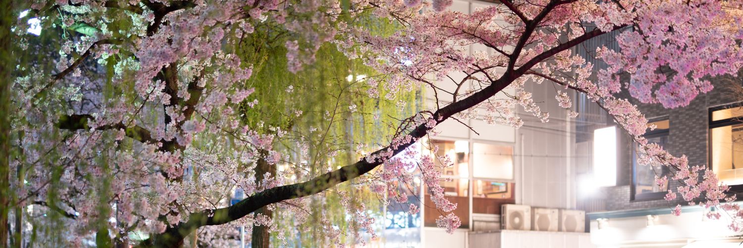 よさカメリーマン banner