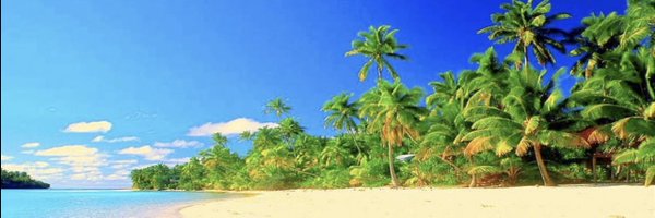 SplxshB_ Profile Banner