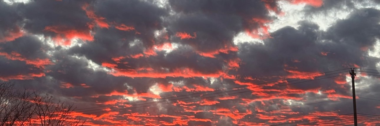 Rachel, the friendship file cabinet banner