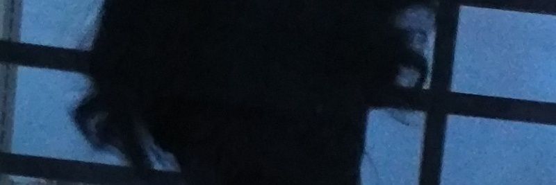xiaoxiao8370's profile banner image