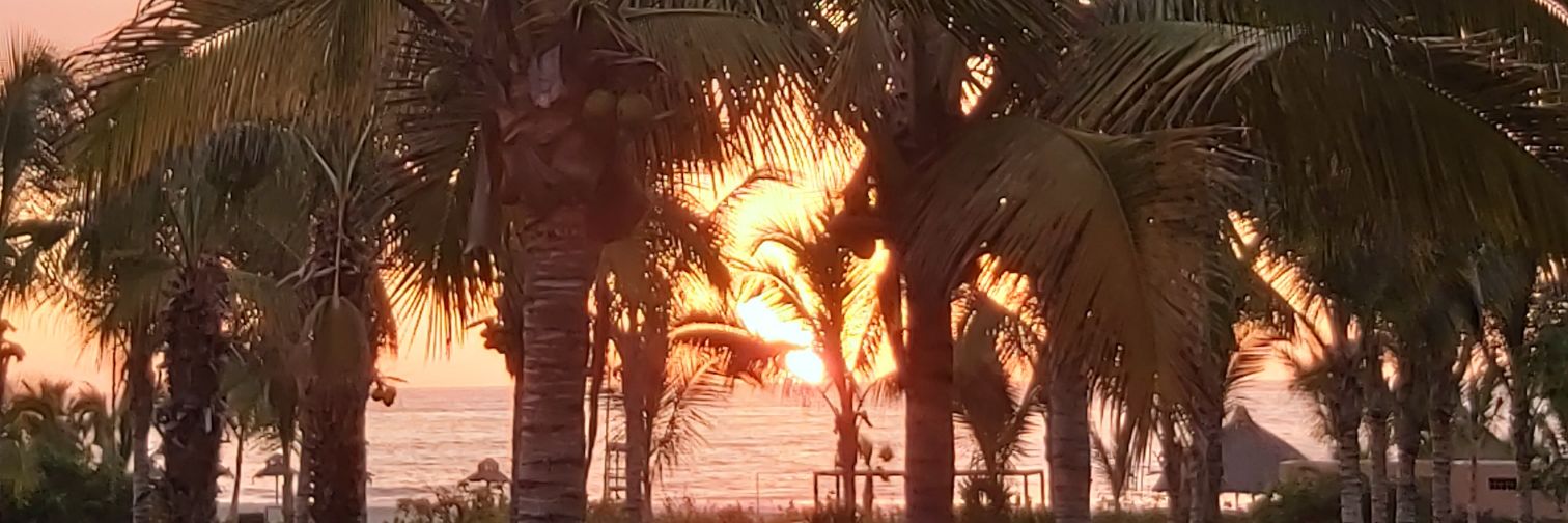 Fioozhi's profile banner image
