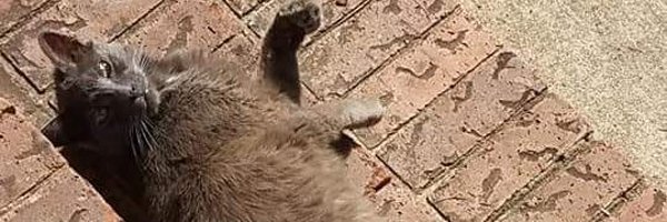 hhollyd66 Profile Banner