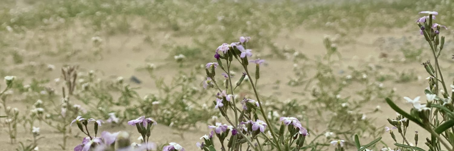 مشـ ع ـل banner