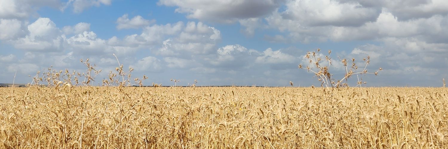 אהוד גרי banner