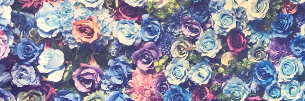 mol_fmy's profile banner image