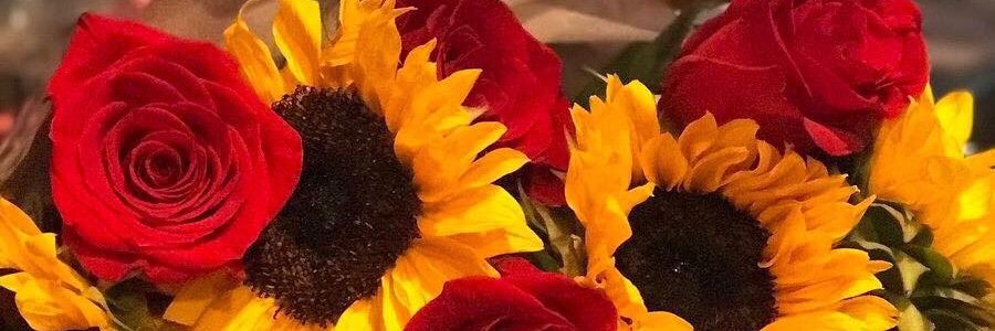 talkthattalkmia's profile banner image
