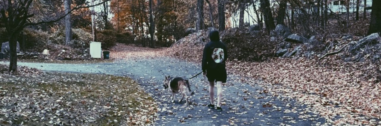 mvttgross's profile banner image