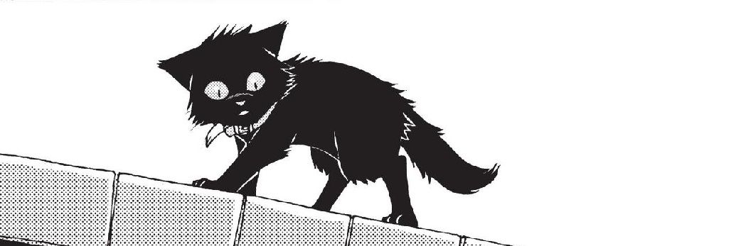 Casstios 🐈‍⬛'s banner