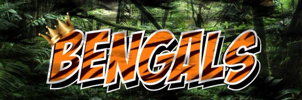 SBE_Bengals Profile Banner