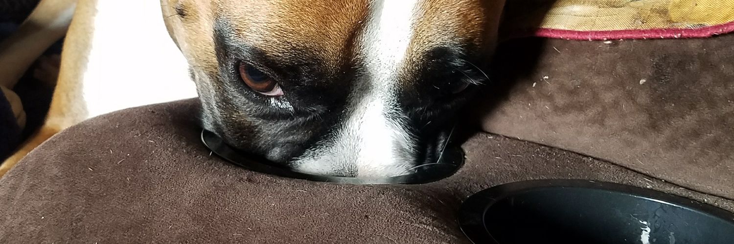 Mustbme77's profile banner image