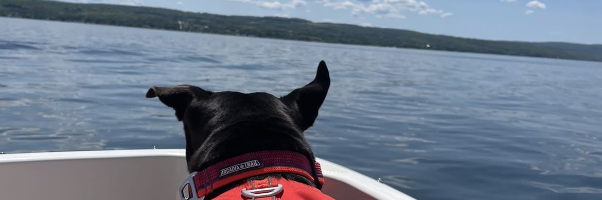 kaileybrown_'s profile banner image