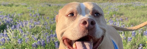 Jaaohn Profile Banner