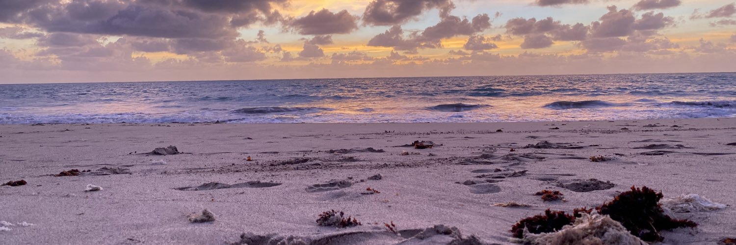 Anderson Mendonca banner