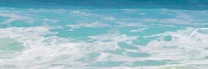 Lisa_Safetynet's profile banner image