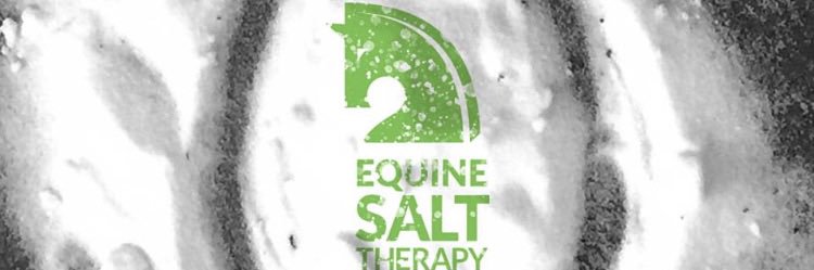 equine_salt's profile banner image