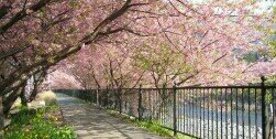 siska592's profile banner image