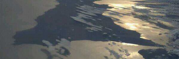 oncelot85 Profile Banner