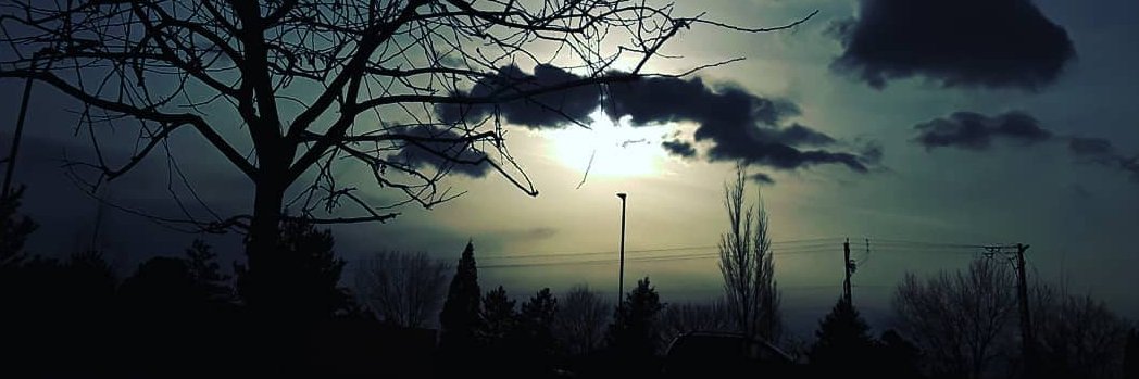 ShellyWithers8's profile banner image