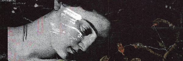 switchsb_ Profile Banner