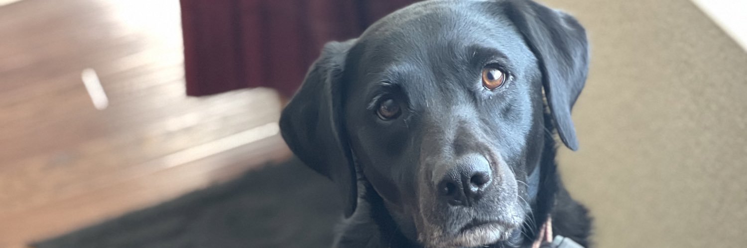 TerriSanch's profile banner image