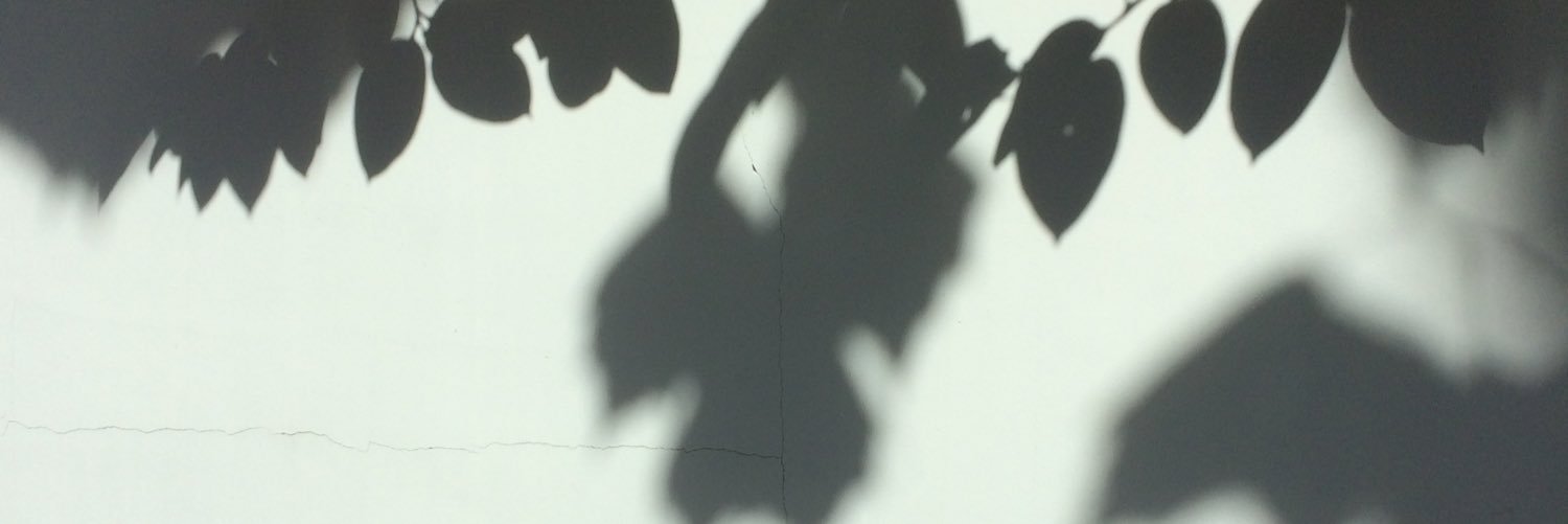 leaf on leaf🕯️'s banner