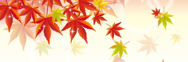 guy04443300's profile banner image