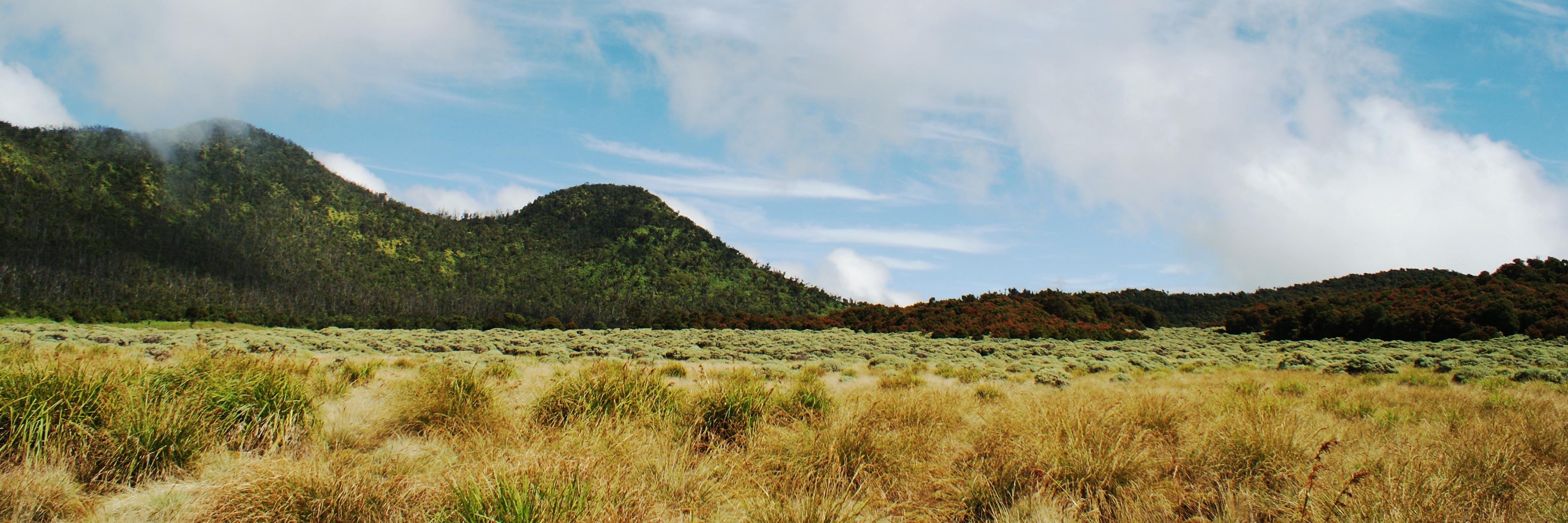 Morteza Syariati Albanna banner