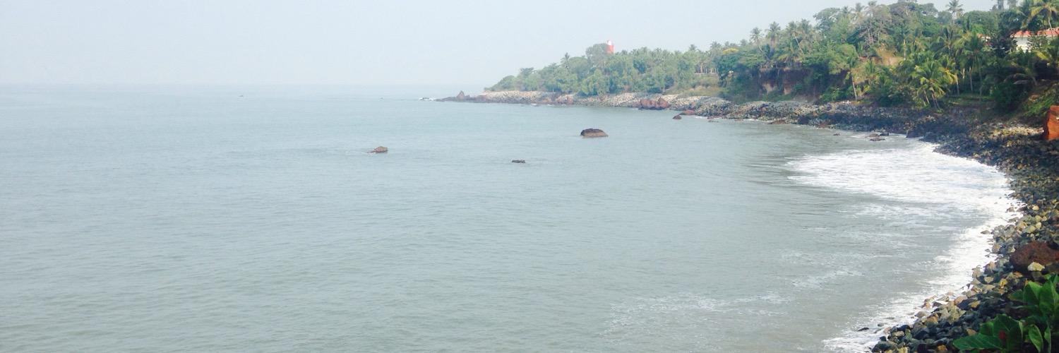 Amrita Warrier banner