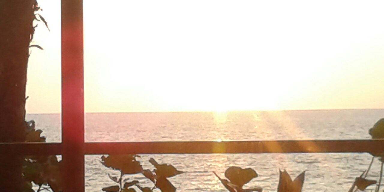 jonas alvarado banner