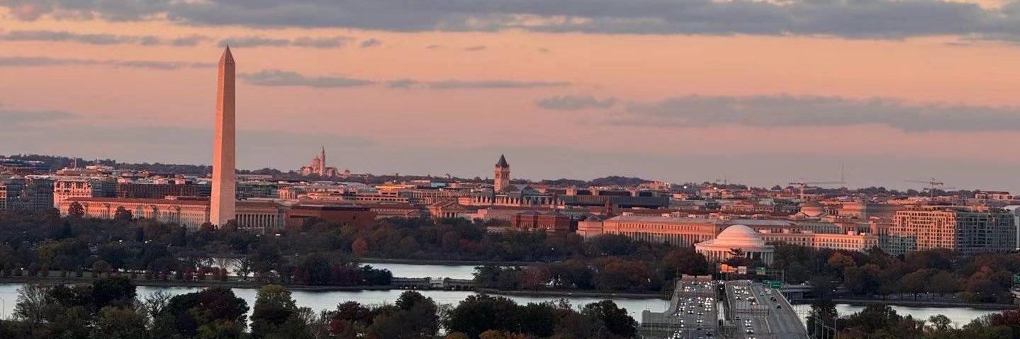 Catzilla（kkk升级版） banner