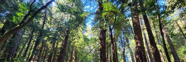 yoojinchacha Profile Banner