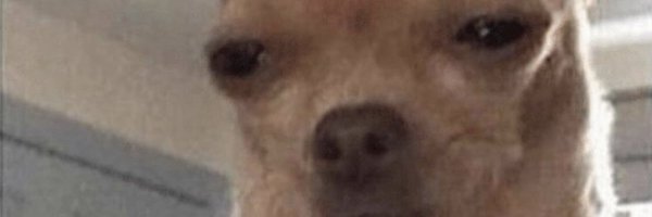 Steve0NotSteve Profile Banner