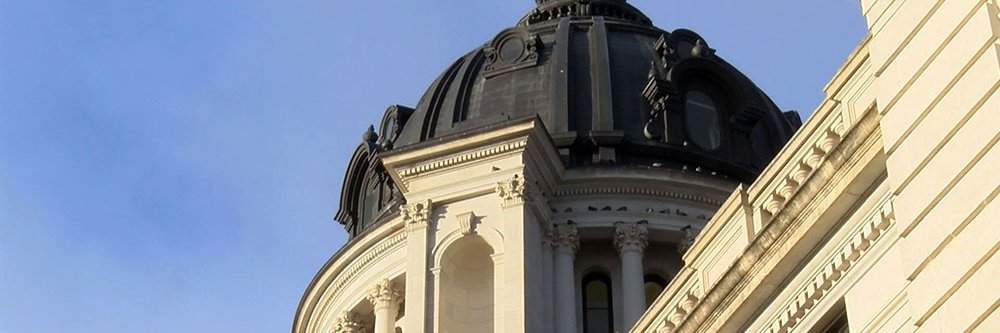 South Dakota Freedom Caucus's banner