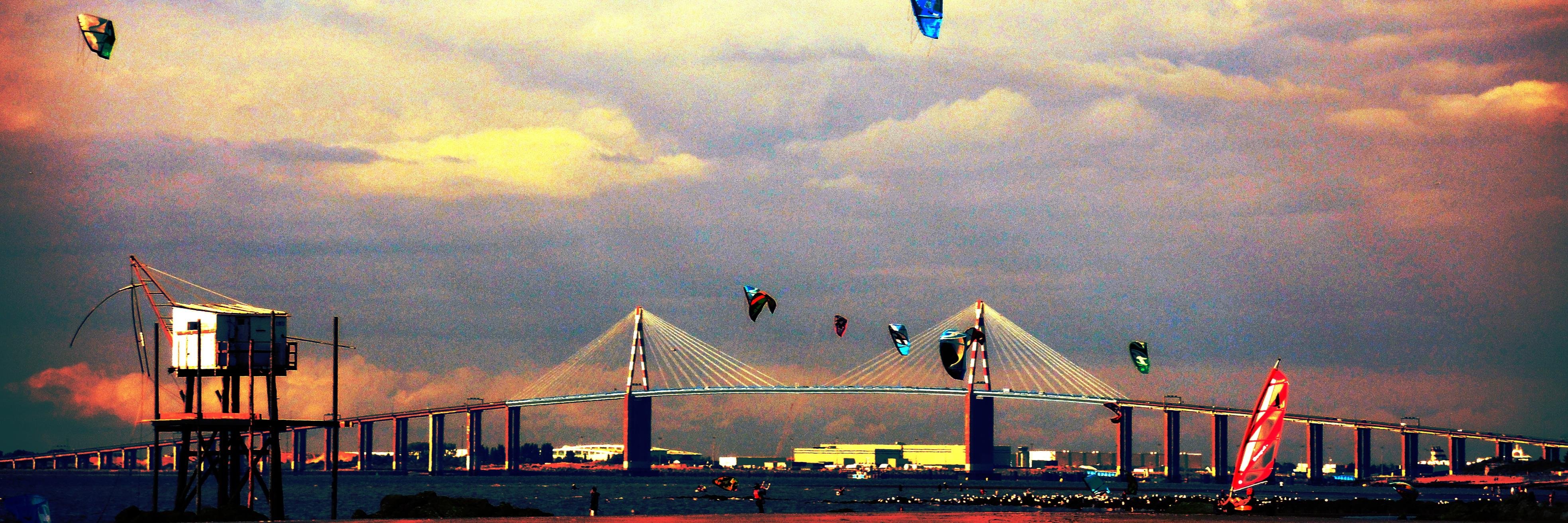 Damien B banner